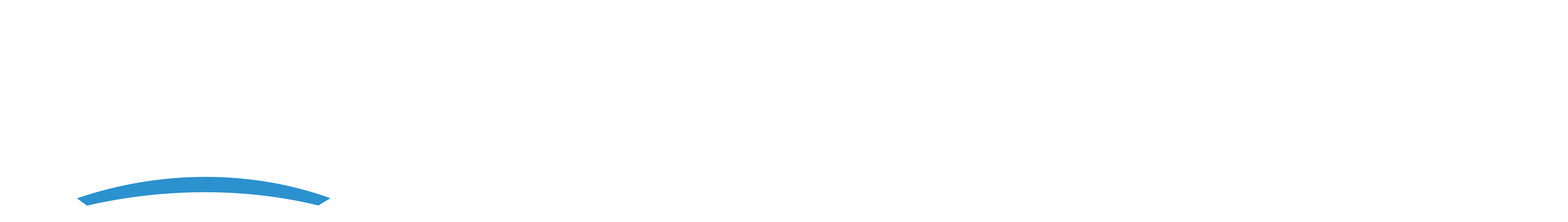 Actionera Logo